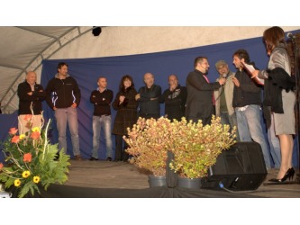 Picture 5